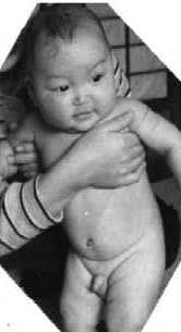 �ʐ^ : �Ԏq�̍�